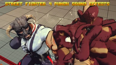 Street Fighter 4 Punch Sound Effects