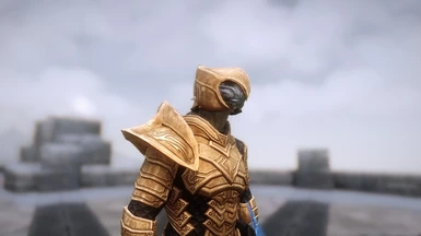*UPDATE* - Golden Arbiter Armor