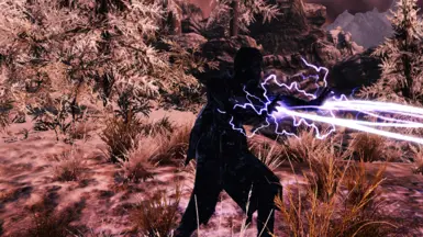 Ebonyflesh &amp; Shock Spells