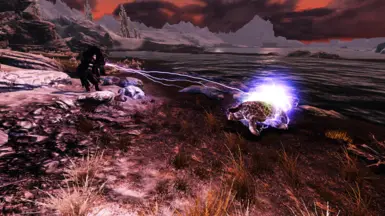 Poor Sabre Cat