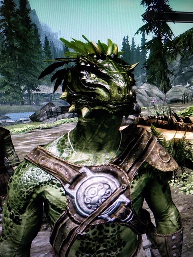I just realized that in this loading screen the argonian is