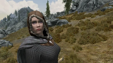 Chainmail from Armor Extended and vanilla adept hood.