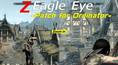 Z Eagle Eye -Patch for Ordinator-