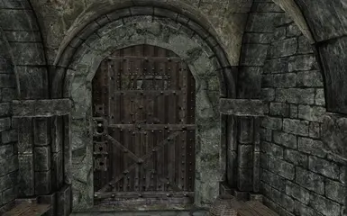 Security Door