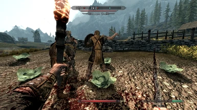 'Whiterun Guard' doesn't show up correctly under the health bar