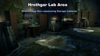 In game screen shot based image