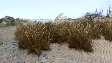 The new v2.0 beach grass