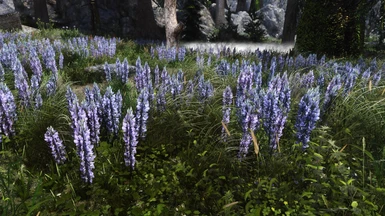 v2.0 pine forest grass (with new lupins thanks to JohnnyWang13)