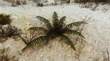 v2.0 volcanic tundra (new big ferns thanks to JohnnyWang13)
