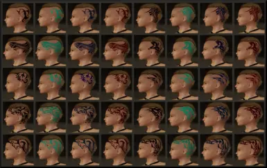Ragnar Female 40 Variations
