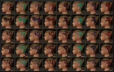 Veteran 40 Variations