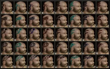 Calvo 40 Variations