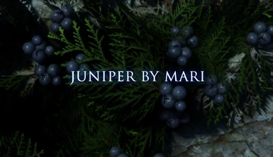 Juniper by Mari