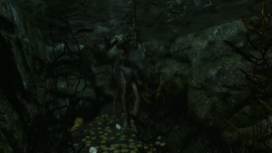 Is this an Argonian swimming in my treasure room?