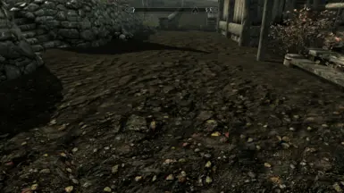 road01fallforest01