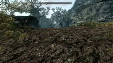road01reach01