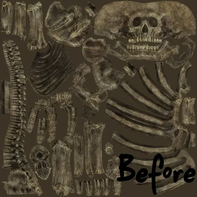 skeleton better texture before