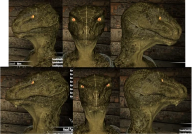 New (bottom) and vanilla (top) argonian head for females.