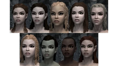 Female Beauty - Head Mesh Replacer