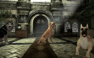 PT-BR) Dovah Dogs - Dovahkiin's Best Friend at Skyrim Special