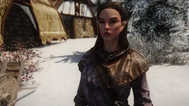 Improved Vanilla Spouses at Skyrim Nexus - Mods and Community