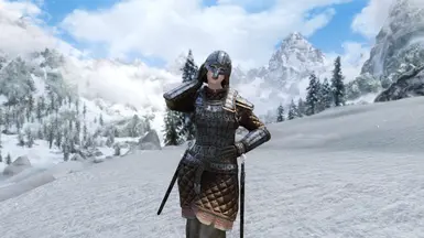 Realistic Armor - BHUNP - CBBE - UUNP at Skyrim Nexus - Mods and Community