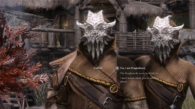 You're the one they call Dragonborn?