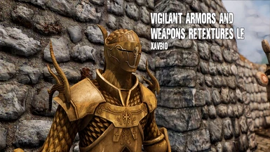 Vigilant Armors and Weapons Retexture LE