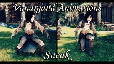 Vanargand Animations - Sneak idle walk and run LE