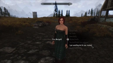 Triss Outfit Manager Extra