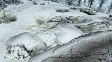 BDS + HQ Snow Texture