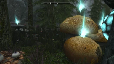 The mushroom is going crazy with magical energy