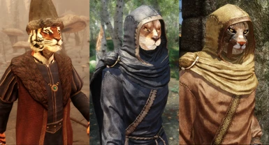3 options for M'aiq the Liar (leftmost one included in mod)