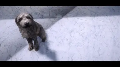 puppy