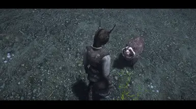 Beavers and Raccoons of Skyrim