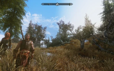 STEP with Climates of Tamriel and Project ENB Realistic