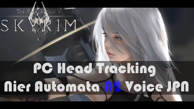 PC Head Tracking Nierautomata A2 Voice