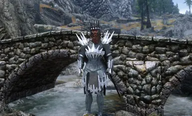 Gom wearing the armour (Crown not included)