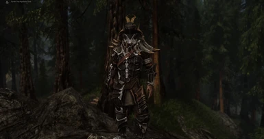 The armour with Antlerloop's Dragonscale and Dragon Plate retextures