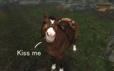 I love my horse and my horse loves me