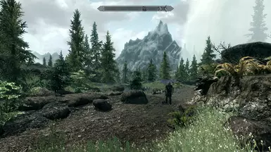 vanilla