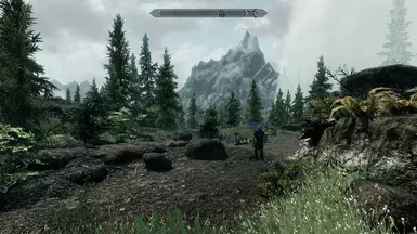reshade