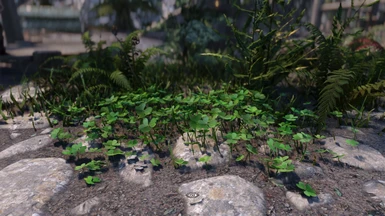 Cathedral - 3D Clover Plant LE