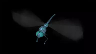Inigo's Mr Dragonfly