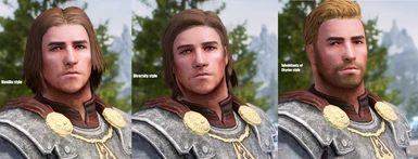 Hadvar with High Poly face conversion style sheet