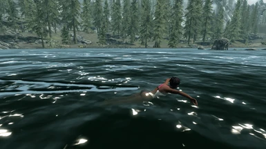 Competitive Swimming Animations at Skyrim Nexus - Mods and Community