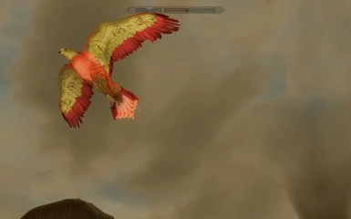 Falconry Bird of Prey - Fiery Phoenix