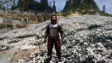 Gom with the armour 2