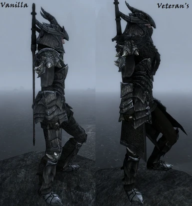 This is old picture - current female armor's pauldrons are way smaller. 