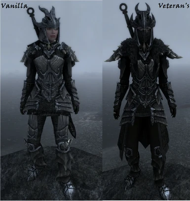 This is old picture - current female armor's pauldrons are way smaller. 